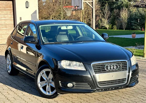 audi błażowa Audi A3 cena 23700 przebieg: 227814, rok produkcji 2009 z Błażowa